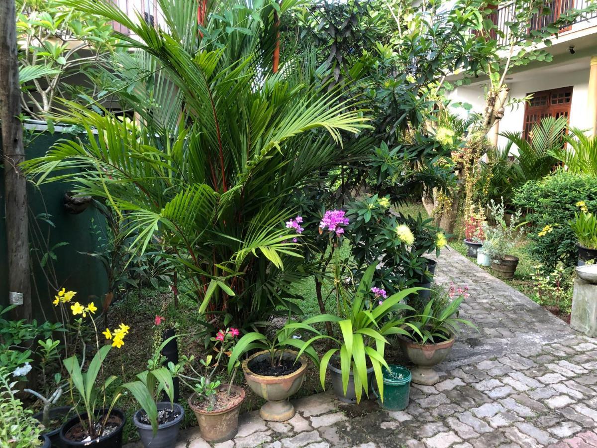Coral Palm Villa And Apartment أونا واتونا المظهر الخارجي الصورة
