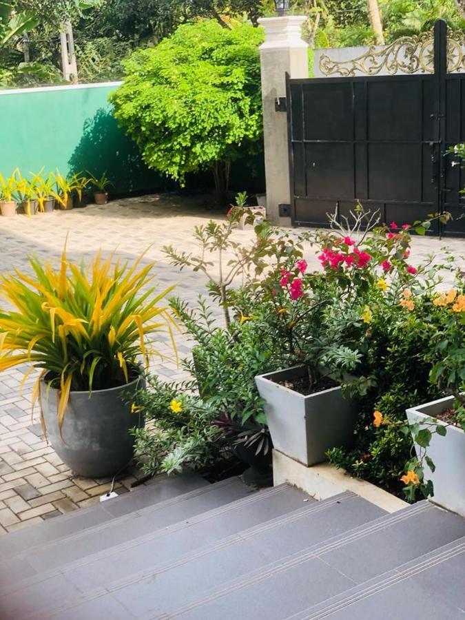 Coral Palm Villa And Apartment أونا واتونا المظهر الخارجي الصورة